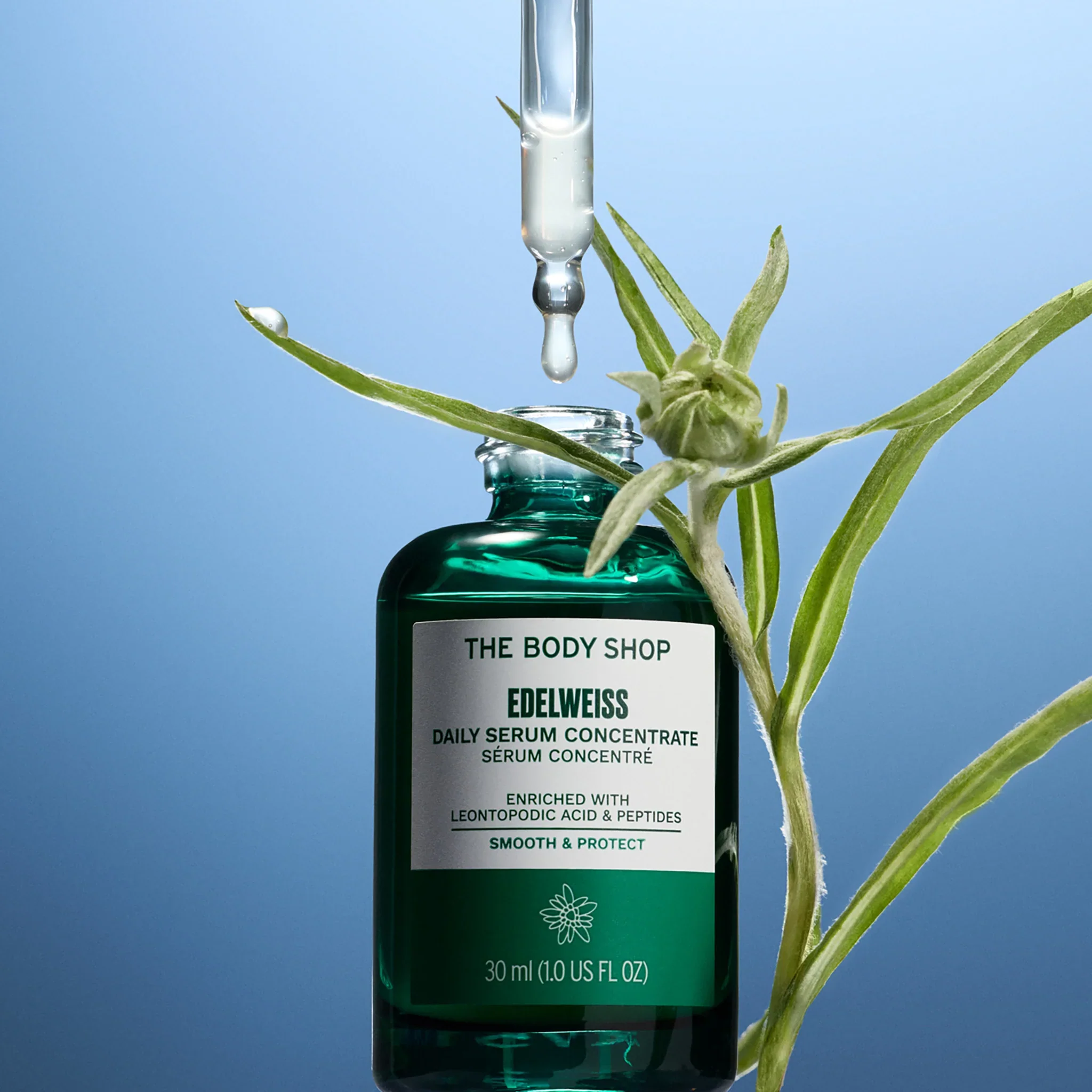 Edelweiss Daily Serum Concentrate - Image 3