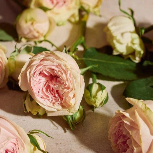 Full Rose Eau de Parfum - Image 6