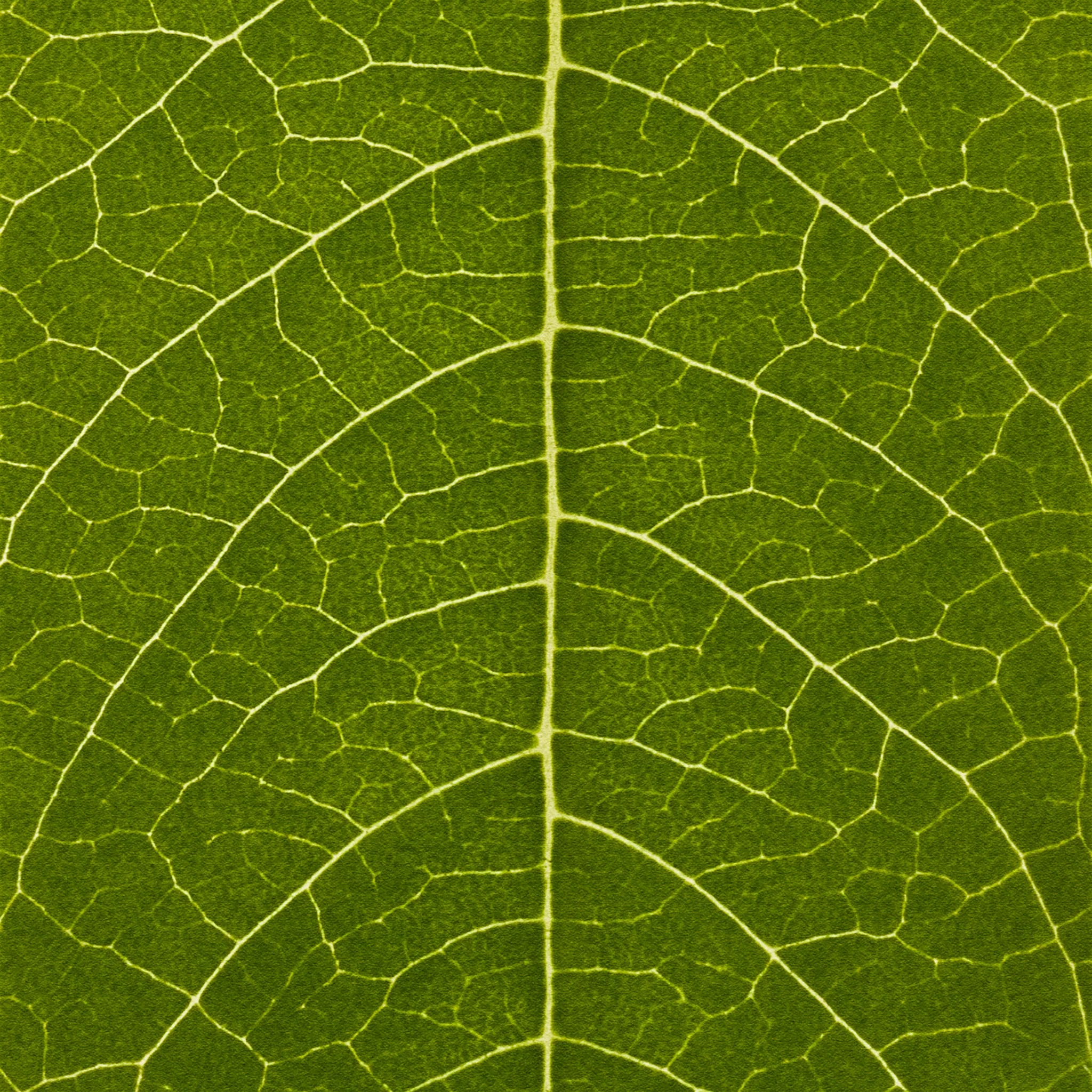 Hemp Hand Protector - Image 4